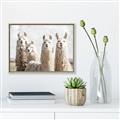 Picture of Llama Fam _GroupedProduct_Rectangle_Landscape_Photography _GroupedProduct_Rectangle_Landscape_Canvas_Framed_