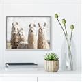 Picture of Llama Fam _GroupedProduct_Rectangle_Landscape_Photography _GroupedProduct_Rectangle_Landscape_Canvas_Framed_