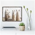 Picture of Llama Fam _GroupedProduct_Rectangle_Landscape_Photography _GroupedProduct_Rectangle_Landscape_Canvas_Framed_