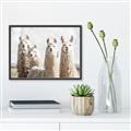 Picture of Llama Fam _GroupedProduct_Rectangle_Landscape_Photography _GroupedProduct_Rectangle_Landscape_Canvas_Framed_