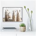 Picture of Llama Fam _GroupedProduct_Rectangle_Landscape_Photography _GroupedProduct_Rectangle_Landscape_Canvas_Framed_