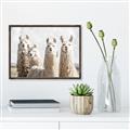 Picture of Llama Fam _GroupedProduct_Rectangle_Landscape_Photography _GroupedProduct_Rectangle_Landscape_Canvas_Framed_