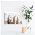 Picture of Llama Fam _GroupedProduct_Rectangle_Landscape_Photography _GroupedProduct_Rectangle_Landscape_Canvas_Framed_