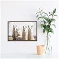 Picture of Llama Fam _GroupedProduct_Rectangle_Landscape_Photography _GroupedProduct_Rectangle_Landscape_Canvas_Framed_