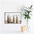 Picture of Llama Fam _GroupedProduct_Rectangle_Landscape_Photography _GroupedProduct_Rectangle_Landscape_Canvas_Framed_