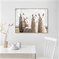 Picture of Llama Fam _GroupedProduct_Rectangle_Landscape_Photography _GroupedProduct_Rectangle_Landscape_Canvas_Framed_