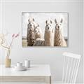 Picture of Llama Fam _GroupedProduct_Rectangle_Landscape_Photography _GroupedProduct_Rectangle_Landscape_Canvas_Framed_