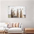 Picture of Llama Fam _GroupedProduct_Rectangle_Landscape_Photography _GroupedProduct_Rectangle_Landscape_Canvas_Framed_