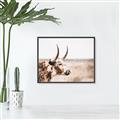 Picture of Annie, the Spotted Cow III _GroupedProduct_Rectangle_Landscape_Photography _GroupedProduct_Rectangle_Landscape_Canvas_Framed_