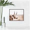 Picture of Annie, the Spotted Cow III _GroupedProduct_Rectangle_Landscape_Photography _GroupedProduct_Rectangle_Landscape_Canvas_Framed_