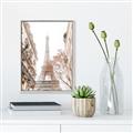 Picture of Paris in the Fall _GroupedProduct_Rectangle_Portrait_Photography _GroupedProduct_Rectangle_Portrait_Canvas_Framed_