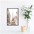 Picture of Paris in the Fall _GroupedProduct_Rectangle_Portrait_Photography _GroupedProduct_Rectangle_Portrait_Canvas_Framed_