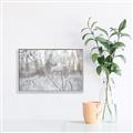 Picture of Branching off _GroupedProduct_Rectangle_Landscape_Photography _GroupedProduct_Rectangle_Landscape_Canvas_Framed_