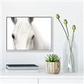 Picture of White horse _GroupedProduct_Rectangle_Landscape_Photography _GroupedProduct_Rectangle_Landscape_Canvas_Framed_