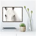 Picture of White horse _GroupedProduct_Rectangle_Landscape_Photography _GroupedProduct_Rectangle_Landscape_Canvas_Framed_