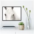 Picture of White horse _GroupedProduct_Rectangle_Landscape_Photography _GroupedProduct_Rectangle_Landscape_Canvas_Framed_