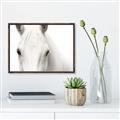 Picture of White horse _GroupedProduct_Rectangle_Landscape_Photography _GroupedProduct_Rectangle_Landscape_Canvas_Framed_