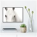 Picture of White horse _GroupedProduct_Rectangle_Landscape_Photography _GroupedProduct_Rectangle_Landscape_Canvas_Framed_