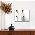 Picture of White horse _GroupedProduct_Rectangle_Landscape_Photography _GroupedProduct_Rectangle_Landscape_Canvas_Framed_