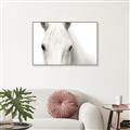 Picture of White horse _GroupedProduct_Rectangle_Landscape_Photography _GroupedProduct_Rectangle_Landscape_Canvas_Framed_