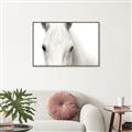 Picture of White horse _GroupedProduct_Rectangle_Landscape_Photography _GroupedProduct_Rectangle_Landscape_Canvas_Framed_