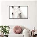 Picture of White horse _GroupedProduct_Rectangle_Landscape_Photography _GroupedProduct_Rectangle_Landscape_Canvas_Framed_