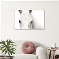 Picture of White horse _GroupedProduct_Rectangle_Landscape_Photography _GroupedProduct_Rectangle_Landscape_Canvas_Framed_