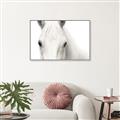 Picture of White horse _GroupedProduct_Rectangle_Landscape_Photography _GroupedProduct_Rectangle_Landscape_Canvas_Framed_