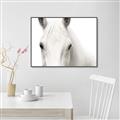 Picture of White horse _GroupedProduct_Rectangle_Landscape_Photography _GroupedProduct_Rectangle_Landscape_Canvas_Framed_