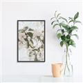 Picture of Leafy Light _GroupedProduct_Rectangle_Portrait_Photography _GroupedProduct_Rectangle_Portrait_Canvas_Framed_