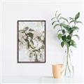 Picture of Leafy Light _GroupedProduct_Rectangle_Portrait_Photography _GroupedProduct_Rectangle_Portrait_Canvas_Framed_