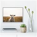 Picture of One and Only _GroupedProduct_Rectangle_Landscape_Photography _GroupedProduct_Rectangle_Landscape_Canvas_Framed_