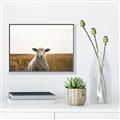 Picture of One and Only _GroupedProduct_Rectangle_Landscape_Photography _GroupedProduct_Rectangle_Landscape_Canvas_Framed_
