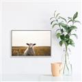 Picture of One and Only _GroupedProduct_Rectangle_Landscape_Photography _GroupedProduct_Rectangle_Landscape_Canvas_Framed_