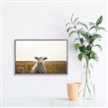 Picture of One and Only _GroupedProduct_Rectangle_Landscape_Photography _GroupedProduct_Rectangle_Landscape_Canvas_Framed_