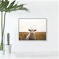 Picture of One and Only _GroupedProduct_Rectangle_Landscape_Photography _GroupedProduct_Rectangle_Landscape_Canvas_Framed_