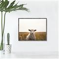 Picture of One and Only _GroupedProduct_Rectangle_Landscape_Photography _GroupedProduct_Rectangle_Landscape_Canvas_Framed_