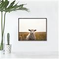 Picture of One and Only _GroupedProduct_Rectangle_Landscape_Photography _GroupedProduct_Rectangle_Landscape_Canvas_Framed_