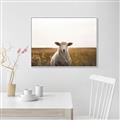 Picture of One and Only _GroupedProduct_Rectangle_Landscape_Photography _GroupedProduct_Rectangle_Landscape_Canvas_Framed_