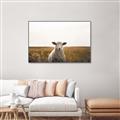 Picture of One and Only _GroupedProduct_Rectangle_Landscape_Photography _GroupedProduct_Rectangle_Landscape_Canvas_Framed_