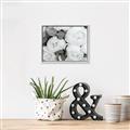 Picture of White Blooms _GroupedProduct_Rectangle_Landscape_Photography _GroupedProduct_Rectangle_Landscape_Canvas_Framed_