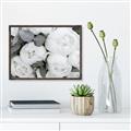 Picture of White Blooms _GroupedProduct_Rectangle_Landscape_Photography _GroupedProduct_Rectangle_Landscape_Canvas_Framed_
