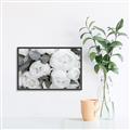 Picture of White Blooms _GroupedProduct_Rectangle_Landscape_Photography _GroupedProduct_Rectangle_Landscape_Canvas_Framed_