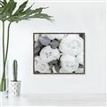 Picture of White Blooms _GroupedProduct_Rectangle_Landscape_Photography _GroupedProduct_Rectangle_Landscape_Canvas_Framed_