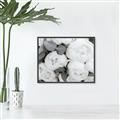 Picture of White Blooms _GroupedProduct_Rectangle_Landscape_Photography _GroupedProduct_Rectangle_Landscape_Canvas_Framed_