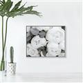 Picture of White Blooms _GroupedProduct_Rectangle_Landscape_Photography _GroupedProduct_Rectangle_Landscape_Canvas_Framed_