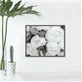 Picture of White Blooms _GroupedProduct_Rectangle_Landscape_Photography _GroupedProduct_Rectangle_Landscape_Canvas_Framed_
