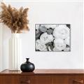 Picture of White Blooms _GroupedProduct_Rectangle_Landscape_Photography _GroupedProduct_Rectangle_Landscape_Canvas_Framed_