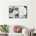 Picture of White Blooms _GroupedProduct_Rectangle_Landscape_Photography _GroupedProduct_Rectangle_Landscape_Canvas_Framed_