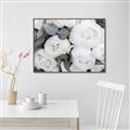 Picture of White Blooms _GroupedProduct_Rectangle_Landscape_Photography _GroupedProduct_Rectangle_Landscape_Canvas_Framed_
